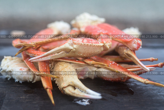 Fresh red king crab crab claws close-up. Tasty kamchatka crab's claw. Стоковое фото, фотограф Регина Ерофеева / Фотобанк Лори