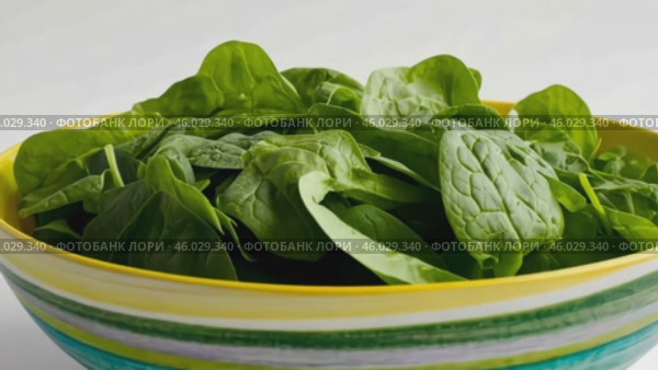 Fresh spinach leaves in bowl isolated on white. Green vegan breakfast meal. Plate of greenery. Clean eating, dieting, vegan food concept. Healthy diet design project. Organic Baby Spinach. Leaf salad. Стоковое AI-видео, аниматор Марина Демидюк / Фотобанк Лори
