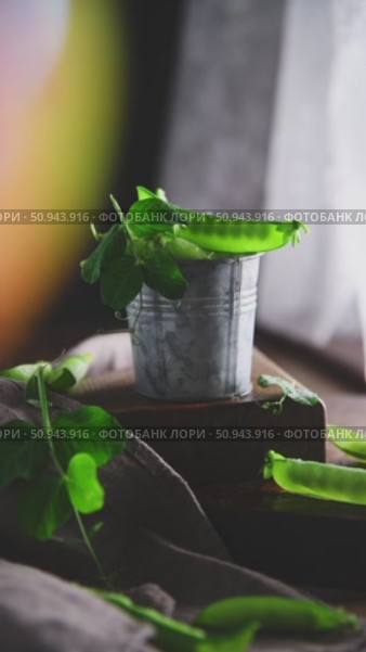 Freshly picked green peas spill over the edge of a small metal bucket and sit on a wooden block, the soft warm glow adding a bit of magic to the rustic scene. Стоковое видео, видеограф Ольга Ильина / Фотобанк Лори