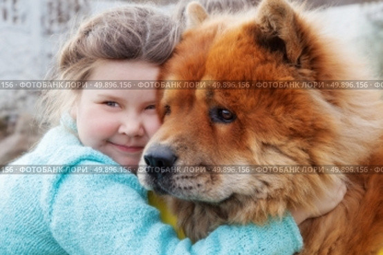 friendship. girl and dog chow-chow. Стоковое фото, агентство Ingram Publishing / Фотобанк Лори