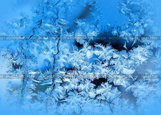 Frosty pattern on winter window. Стоковое фото, фотограф ElenArt / Фотобанк Лори