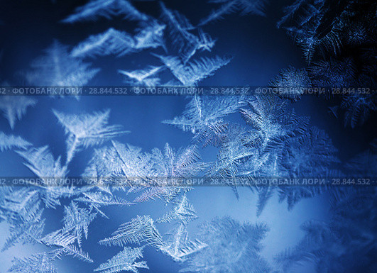 Frosty pattern on winter window. Стоковое фото, фотограф ElenArt / Фотобанк Лори