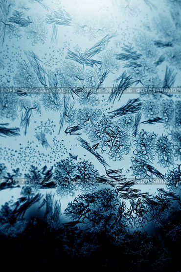 Frosty pattern on winter window. Стоковое фото, фотограф ElenArt / Фотобанк Лори