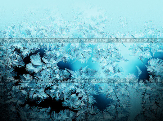 Frosty pattern on winter window. Стоковое фото, фотограф ElenArt / Фотобанк Лори