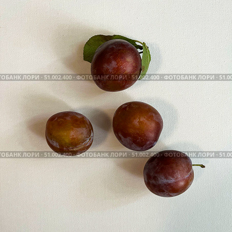 Фрукты. Четыре сливы на белом фоне. Four plums on a white background. Стоковое фото, фотограф Александр Рыбалка / Фотобанк Лори