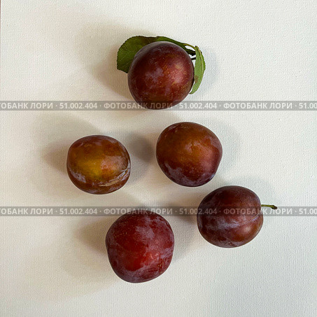 Фрукты. Пять слив на белом фоне. Five plums on a white background. Стоковое фото, фотограф Александр Рыбалка / Фотобанк Лори