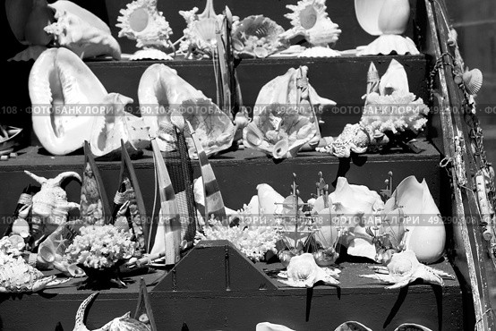 full in market old table shell and sealife in sale. Стоковое фото, агентство Ingram Publishing / Фотобанк Лори