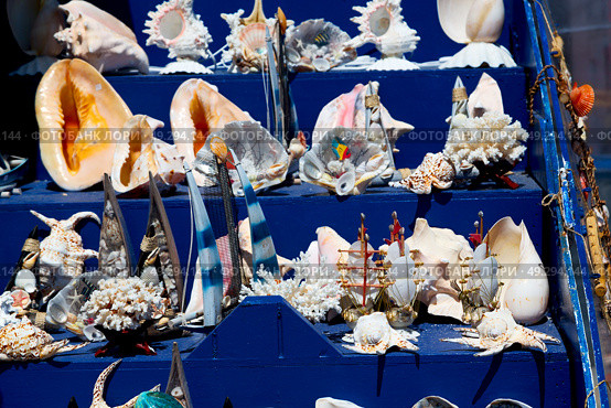 full in market old table shell and sealife in sale. Стоковое фото, агентство Ingram Publishing / Фотобанк Лори