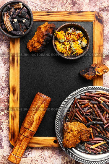 gathering roots and herb. Medicinal herbs and root, comfrey, inonotus obliquus and calendula. Стоковое фото, агентство Ingram Publishing / Фотобанк Лори