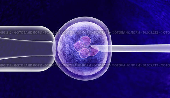 Gene editing in vitro genetic CRISPR genome engineering medical biotechnology health care concept with a fertilized human egg embryo and a group of dividing cells as a 3D illustration. Стоковое фото, агентство Ingram Publishing / Фотобанк Лори