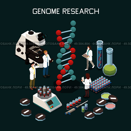 Genetics isometric composition with laboratory equipment and scientists researching genome 3d vector illustration. Стоковая иллюстрация, агентство Ingram Publishing / Фотобанк Лори