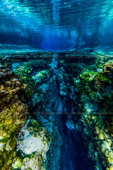 Ginnie Springs in Florida. Jennifer Idol/Stocktrek Images/TASS. Стоковое фото, агентство ТАСС / Фотобанк Лори