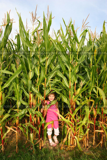 girl child play game girls. Стоковое фото, фотограф Heiko Barth / PantherMedia / Фотобанк Лори