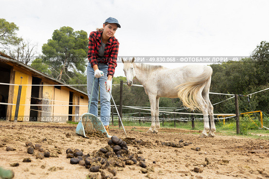 Girl worker scoops horse droppings into shovel and cleans up cattle. Стоковое фото, фотограф Яков Филимонов / Фотобанк Лори