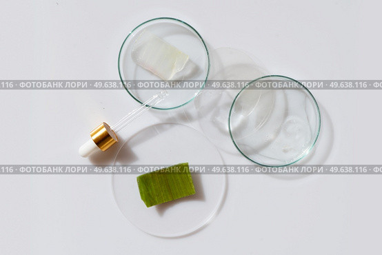 Glass petri dish with transparent pure serum for skin care with aloe vera on white background, top view. Concept laboratory tests and research, making and testing green ecological cosmetic. Glass petri dish with transparent pure serum for skin care. Стоковое фото, агентство Ingram Publishing / Фотобанк Лори