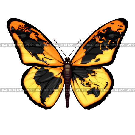 Global Butterfly symbol for the environment or migrant refugee crisis escaping to freedom from world crisis zones as a migratory insect with a map of the planet earth as a metaphor for international social and ecological hope. Стоковое фото, агентство Ingram Publishing / Фотобанк Лори