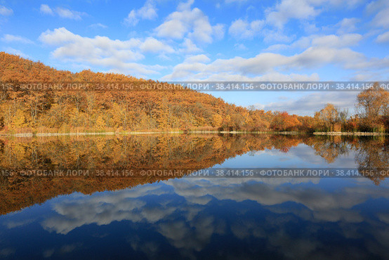 Gold autumn. Beautiful mirror reflection in the water of a forest lake trees and clouds. Стоковое фото, фотограф Яна Королёва / Фотобанк Лори