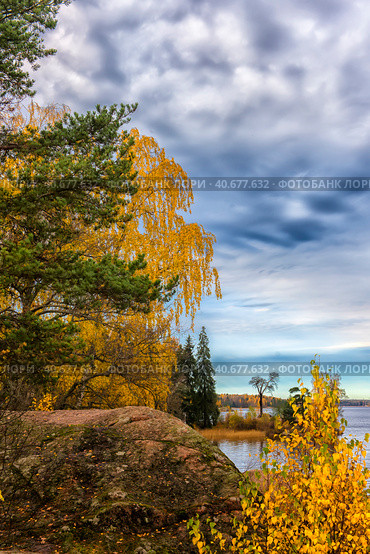 Golden autumn at the Monrepo park, Стоковое фото, фотограф Анна Кривицкая / Фотобанк Лори