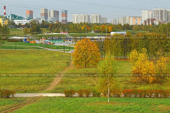 Golden autumn in Landscape Park against background of modern residential buildings of Mitino district. Moscow, Russia. Стоковое фото, фотограф Валерия Попова / Фотобанк Лори