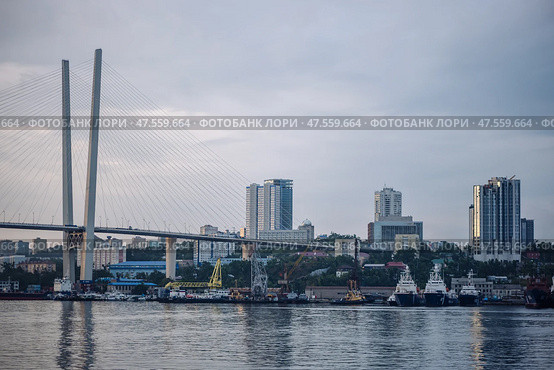 Golden cable stayed bridge crossing zolotoy rog bay, revealing vladivostok's urban landscape with maritime vessels gliding through harbor waters. Стоковое фото, фотограф Mikhail Davidovich / Фотобанк Лори