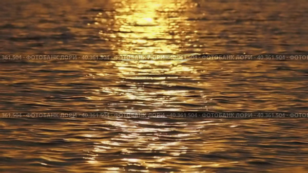 Golden water surface with small waves at sunset close-up-natural background. Стоковое видео, видеограф Александр Кротков / Фотобанк Лори
