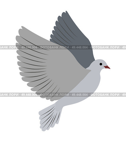 Gorgeous albino dove flies and spreads large wings isolated cartoon flat vector illustration on white background. Small bird that symbolizes love.. Gorgeous White Dove Flies and Spreads Large Wings. Стоковая иллюстрация, агентство Ingram Publishing / Фотобанк Лори