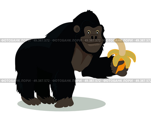 Gorilla cartoon character. Funny big ape with banana in hand flat vector isolated on white. African fauna. Gorilla icon. Wild animal illustration for zoo ad, nature concept, children book illustrating. Gorilla Cartoon Icon in Flat Design. Стоковая иллюстрация, агентство Ingram Publishing / Фотобанк Лори