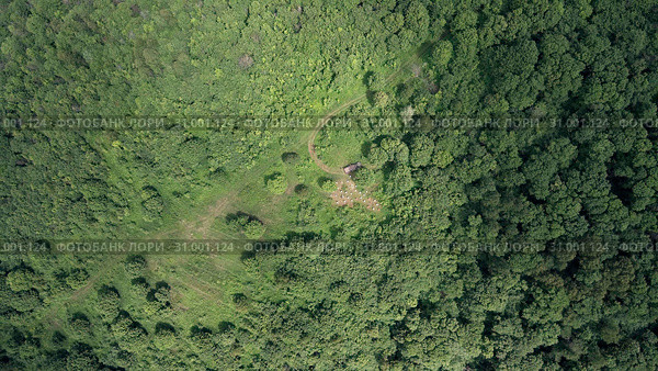 Горная пасека. Пчеловоды за работой. Вид с воздуха. Mountain apiary. Beekeepers at work. Aerial view. Стоковое фото, фотограф Евгений Романов / Фотобанк Лори