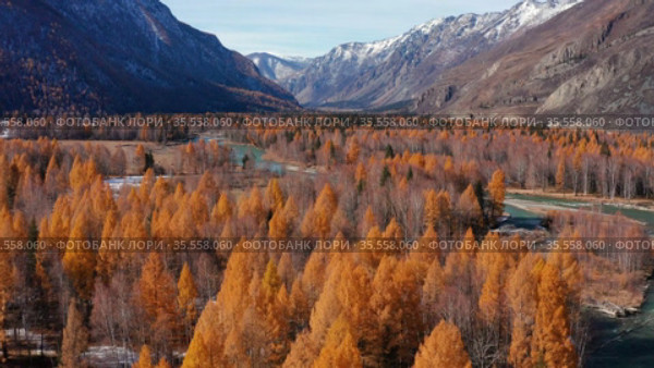 Горный Алтай осенью. Река Чуя. Вид с высоты птичьего полета. Altai mountains in autumn. Chuya river. Aerial view. Стоковое видео, видеограф Евгений Романов / Фотобанк Лори