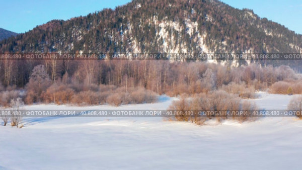 Горный Алтай зимой: лес на берегу Телецкого озера. Вид с воздуха. Altai mountains in winter: forest on the shores of Teletskoye Lake. Aerial view. Стоковое видео, видеограф Евгений Романов / Фотобанк Лори