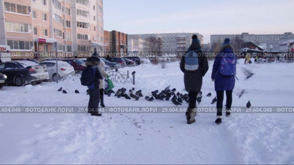 Город Сургут зимой. Школьники и стая голубей. Surgut. City in the winter. Schoolchildren and flock of pigeons (2017 год). Редакционное видео, видеограф Евгений Романов / Фотобанк Лори