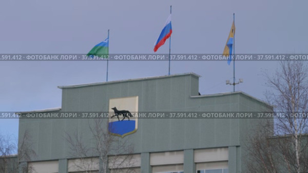 Город Сургут зимой. Здание администрации города. Surgut city in winter. The city administration building. (2022 год). Редакционное видео, видеограф Евгений Романов / Фотобанк Лори