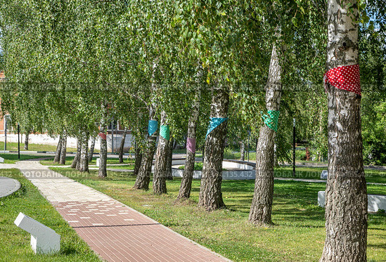 Город Венёв,Тульская область, Россия. Аллея "Двенадцать невест" на Красной площади. Стволы берез опоясаны лентами из разноцветных тканей в  горошек. Пышная зеленая листва (2024 год). Стоковое фото, фотограф Наталья Николаева / Фотобанк Лори