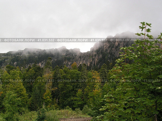 Горы Лагонаки. Стоковое фото, фотограф Евгений Калита / Фотобанк Лори
