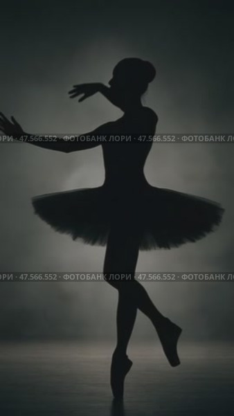 Graceful ballerina silhouette performing ballet poses. Стоковое AI-видео, аниматор Юрий Поздников / Фотобанк Лори
