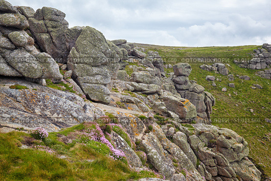 Granite rocky coastal cliffs on the end of the Penwith peninsula. Cornwall. England. GB (2009 год). Стоковое фото, фотограф Сергей Пристяжнюк (Serg Zastavkin) / Фотобанк Лори