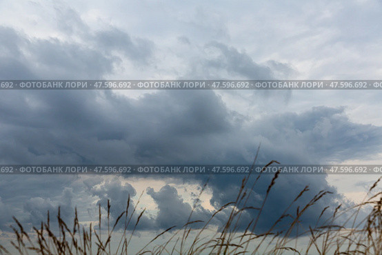 Grass on background of cloudy sky. Стоковое фото, фотограф Яков Филимонов / Фотобанк Лори
