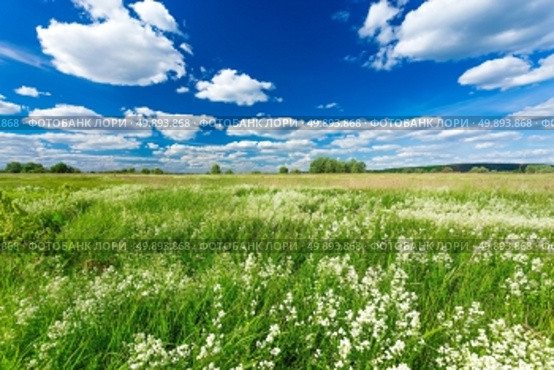 green field. Стоковое фото, агентство Ingram Publishing / Фотобанк Лори