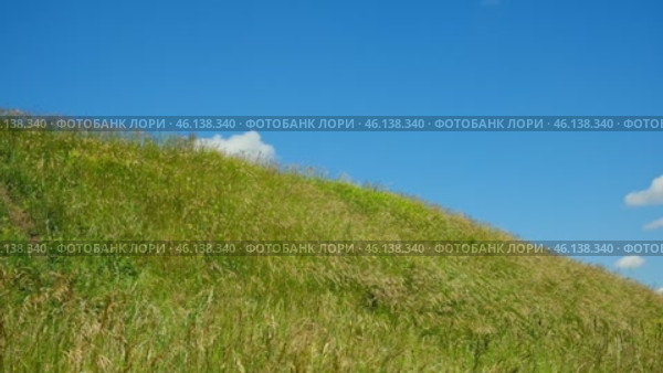 Green field against the blue sky. Horizon View from small hills. Looking up. Perfect Summer minimalist Nature background. idyllic rural landscape. Meadow and deep blue cloudy skies. Copyspace. Стоковое видео, видеограф Марина Демидюк / Фотобанк Лори