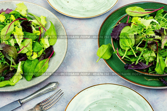 Green fresh salad with arugula, spinach, purple lettuce and chard. Vegetarian vegan food, lettuce. Fresh light green salad. Стоковое фото, агентство Ingram Publishing / Фотобанк Лори
