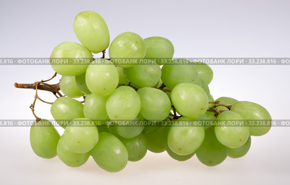 Green Grapes Close Up. Стоковое фото, фотограф Niklas Emmoth / PantherMedia / Фотобанк Лори