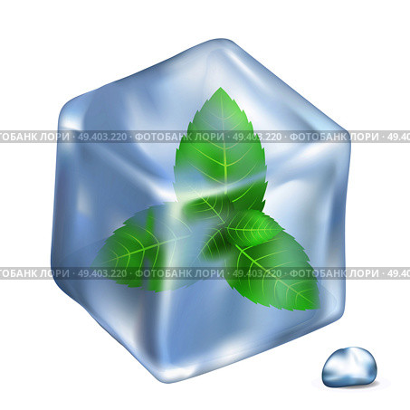 Green leaves of spearmint in frozen ice cube and small shiny water drop isolated vector illustration on white background.. Leaves of Spermint in Ice Isolated Illustration. Стоковая иллюстрация, агентство Ingram Publishing / Фотобанк Лори