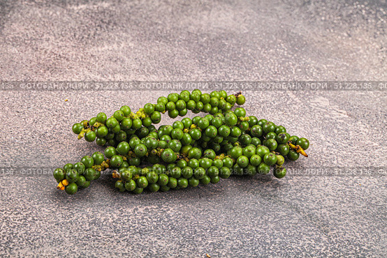 Green pepper corn on the branch. Стоковое фото, фотограф Андрей Старостин / Фотобанк Лори