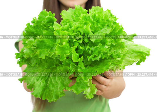 Green Salad Healthy Food. Стоковое фото, фотограф Mitar gavric / Smarterpix / Фотобанк Лори