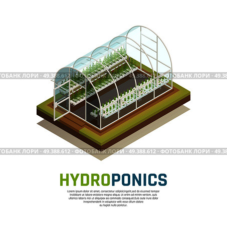Greenhouse hydroponics isometric composition with image of conservatory hothouse with water tank gardening plants and text vector illustration. Water Tank Agriculture Background. Стоковая иллюстрация, агентство Ingram Publishing / Фотобанк Лори