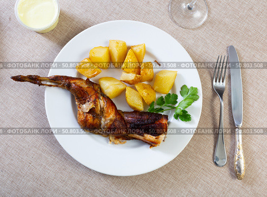 Grilled rabbit served in the plate. Стоковое фото, фотограф Яков Филимонов / Фотобанк Лори