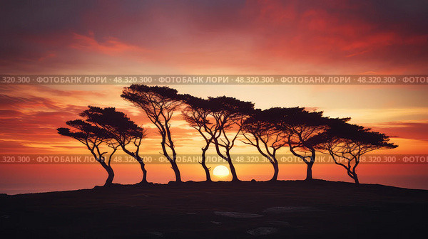 grove group of trees ai generated. Стоковое AI-изображение, AI-художник Vectorwin / Фотобанк Лори