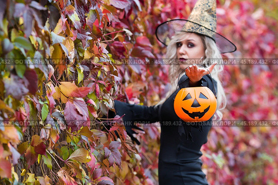 Halloween Witch with pumpkin. Beautiful young woman in a witch costume on the street. Halloween decor. Copy space. Стоковое фото, фотограф Photojuli / Фотобанк Лори