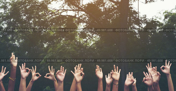 hand up of people working assemble corporate meeting show symbol Join forces teamwork quality and effective personnel Concept organizational development in teamwork and business. Стоковое фото, агентство Ingram Publishing / Фотобанк Лори