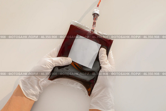 Hands in gloves holding blood pack for transfusion on white background. Стоковое фото, фотограф Pixel_shot / Фотобанк Лори